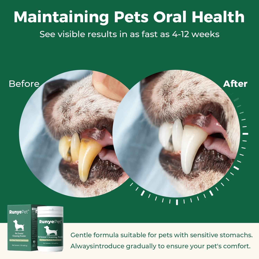 RunyePet® Dog Dental Cleaning Powder