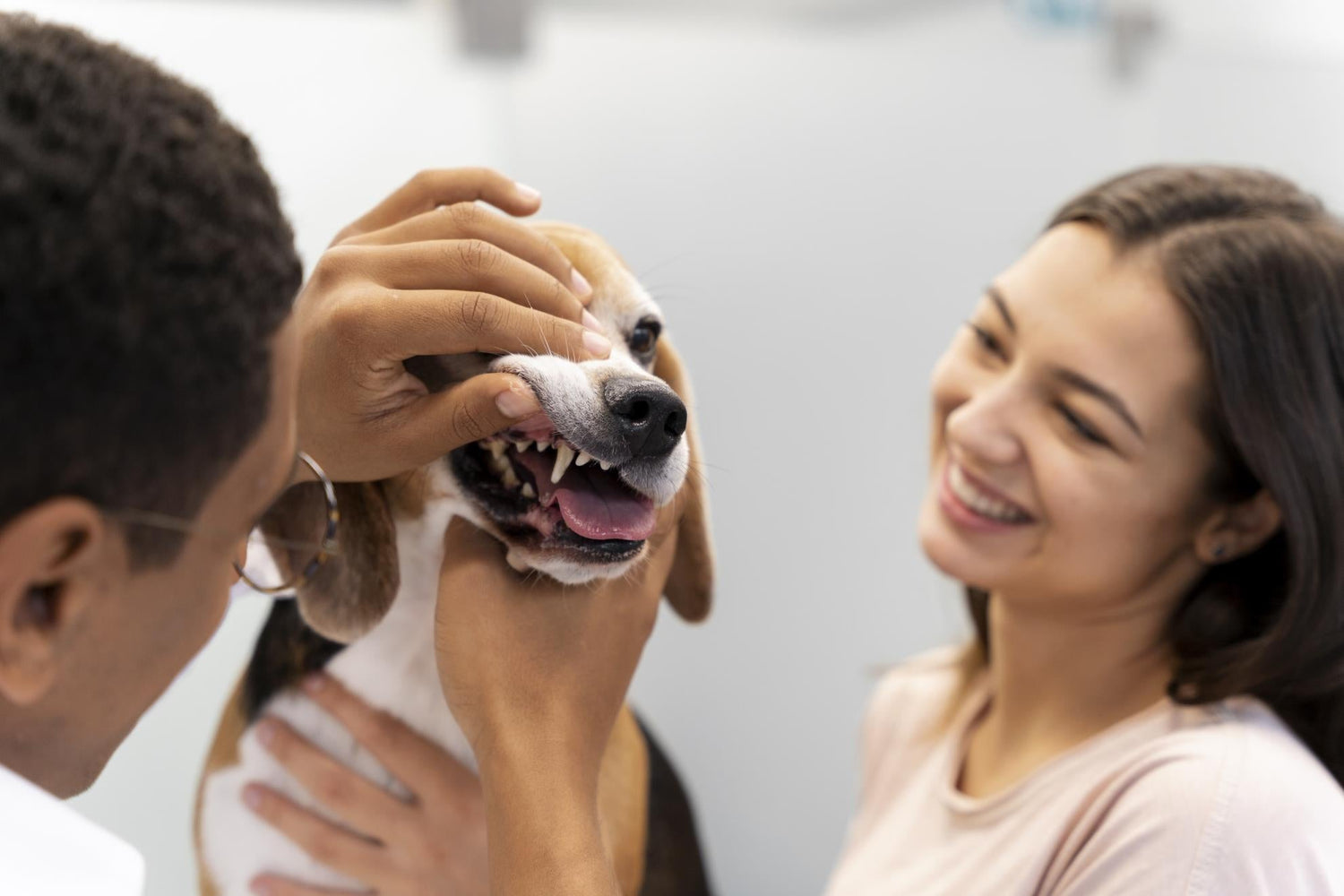 Dog Tooth Pain Causes: Signs, Prevention, and Simple Home Care Tips