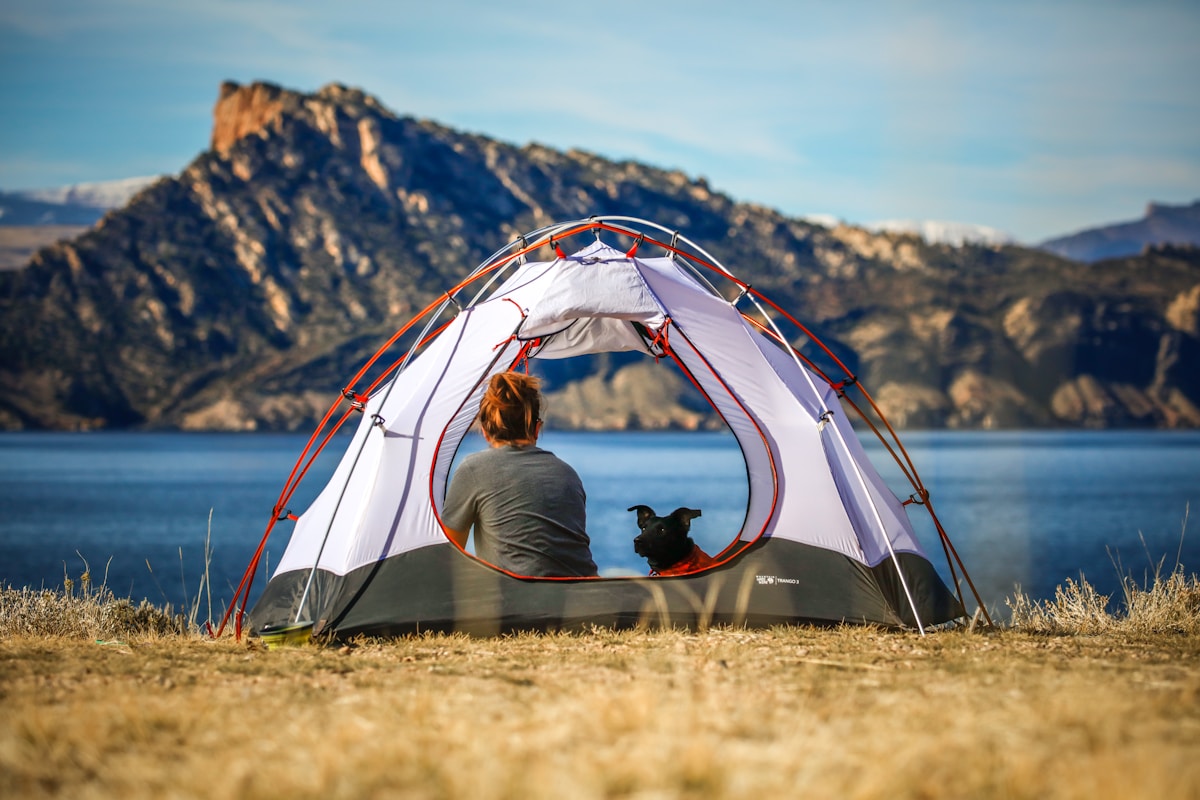 Pet Dental Care While Camping: Outdoor Oral Health Guide (2026)