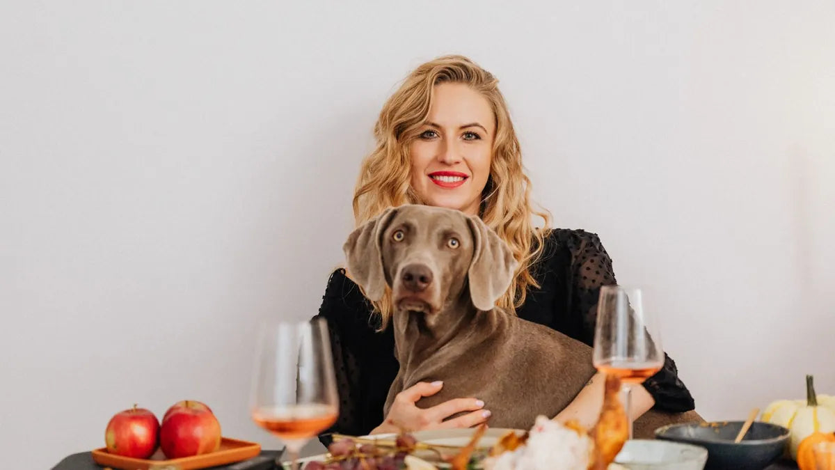 Can Dogs Eat Turkey? Bones, Skin, and Leftovers Explained
