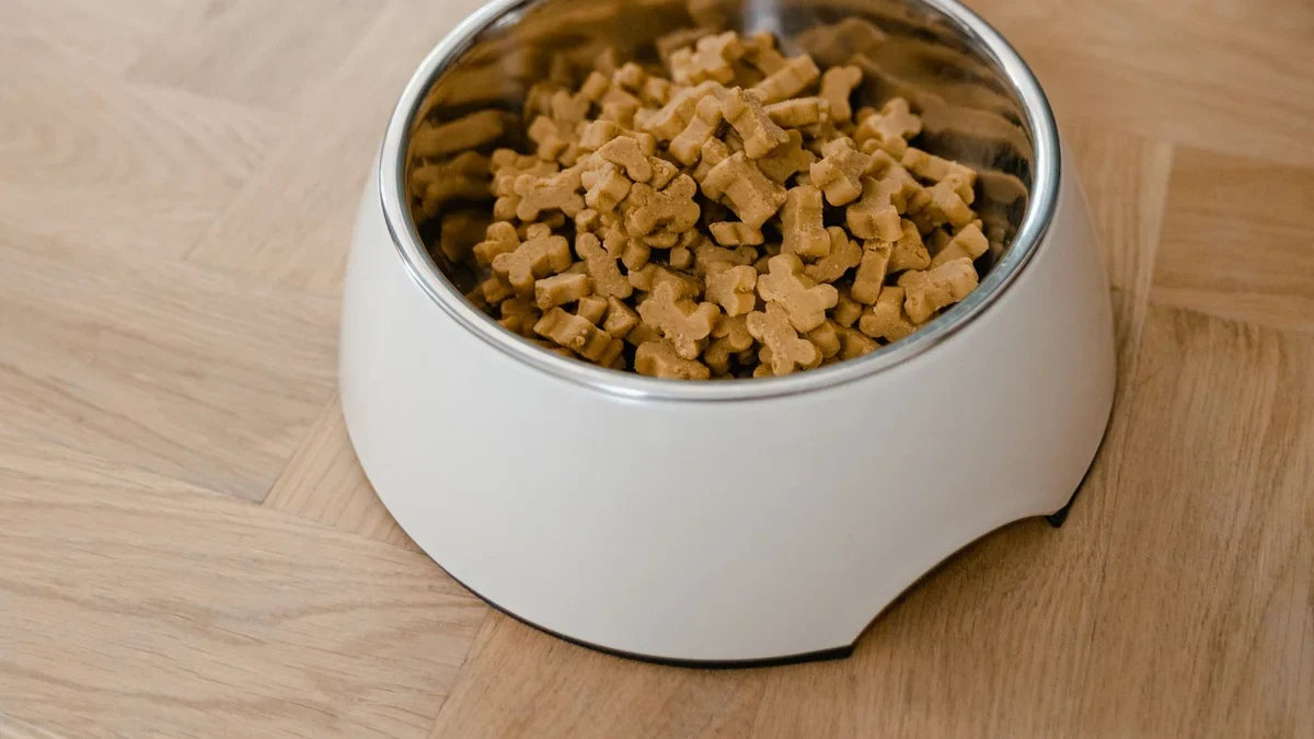 Dog Dental Powder vs. Wipes: What's the Difference?