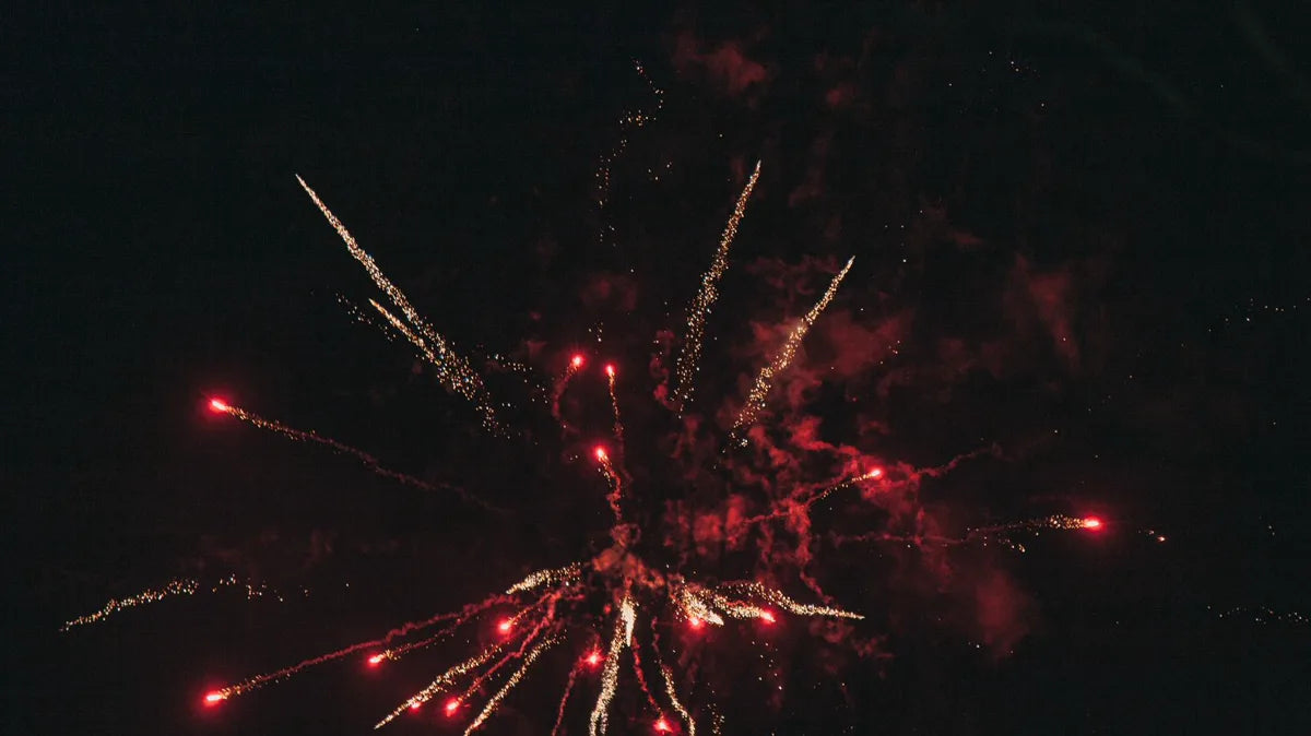 New Year's Fireworks: Helping Dogs With Noise Anxiety