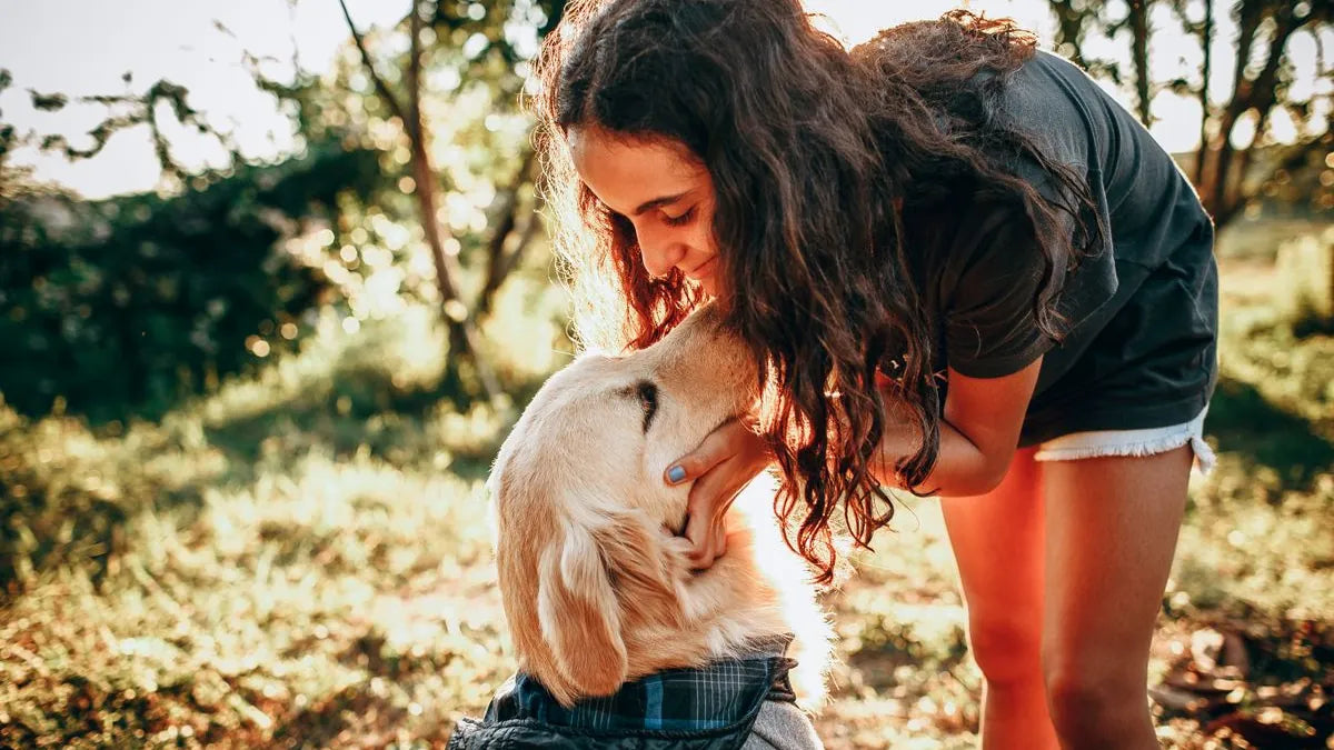 How Often Should You Clean Your Dog's Teeth?