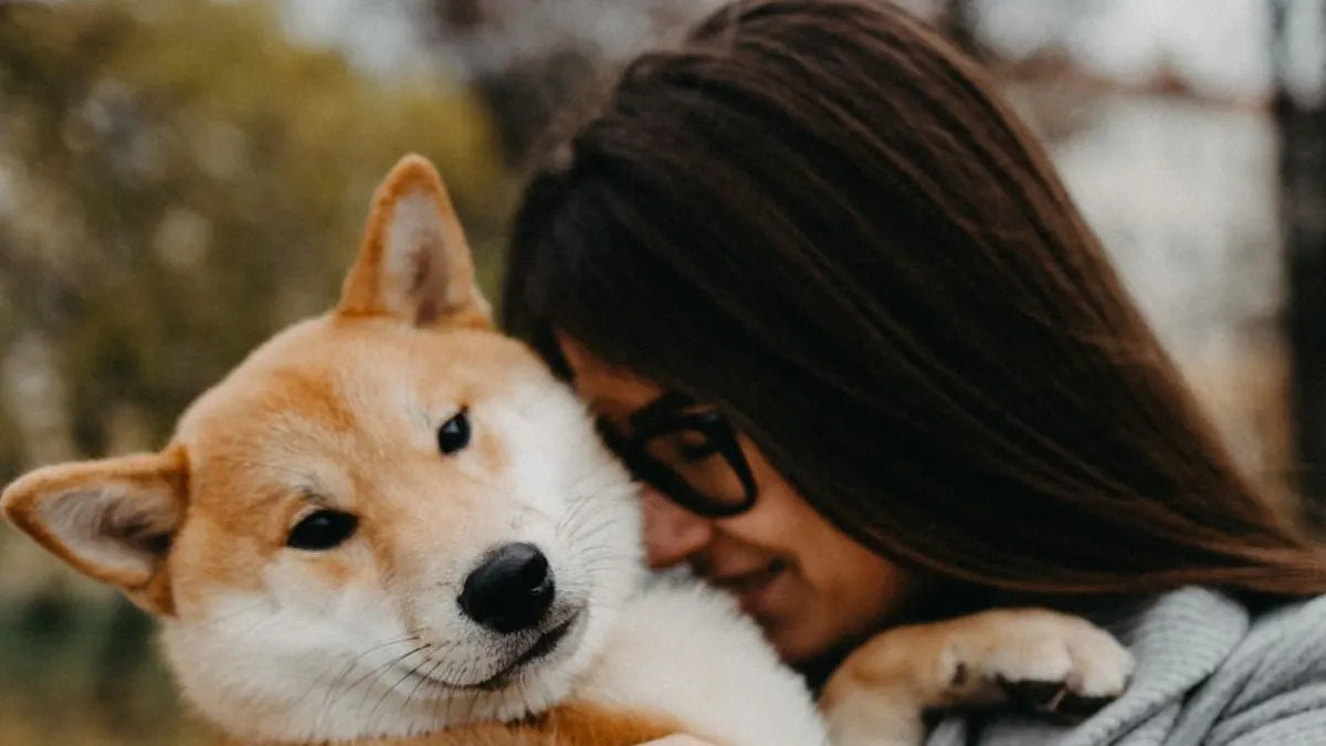How to Use Dog Dental Finger Wipes