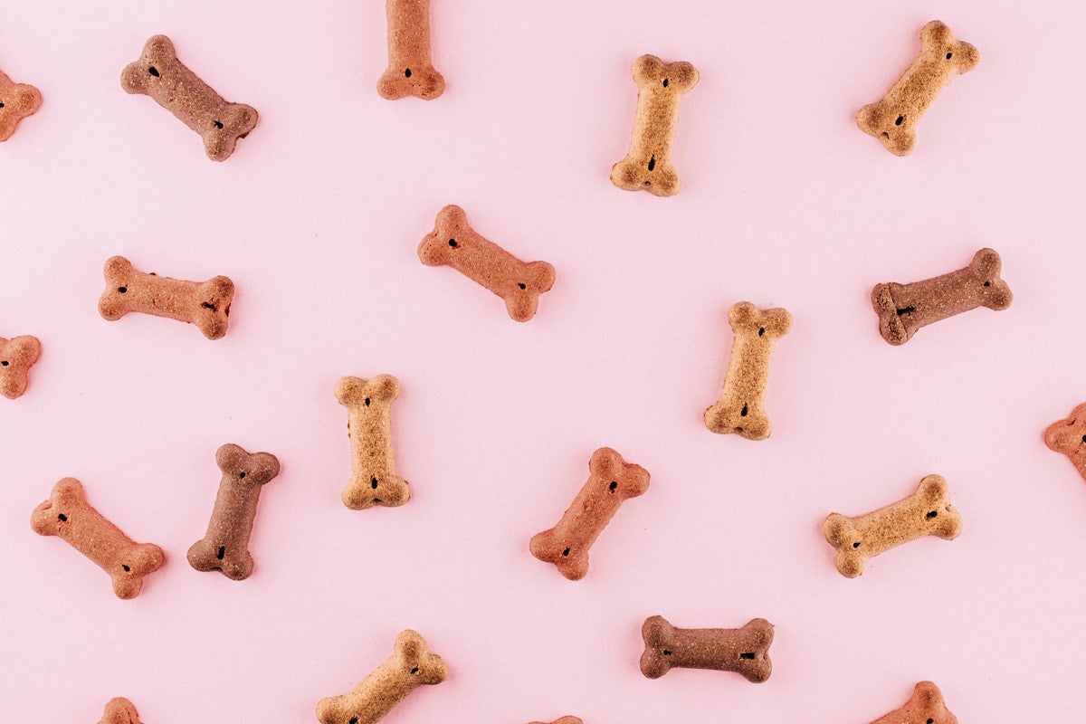Safe dog bones and chews for dental health