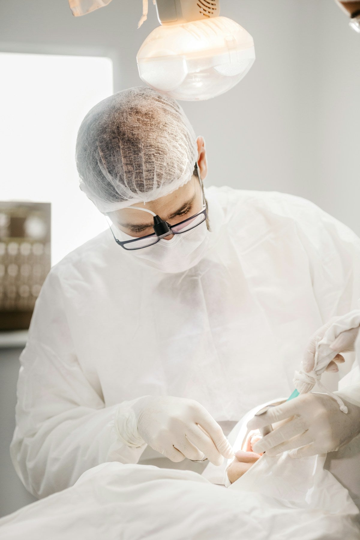 Cat being examined by veterinarian during dental checkup