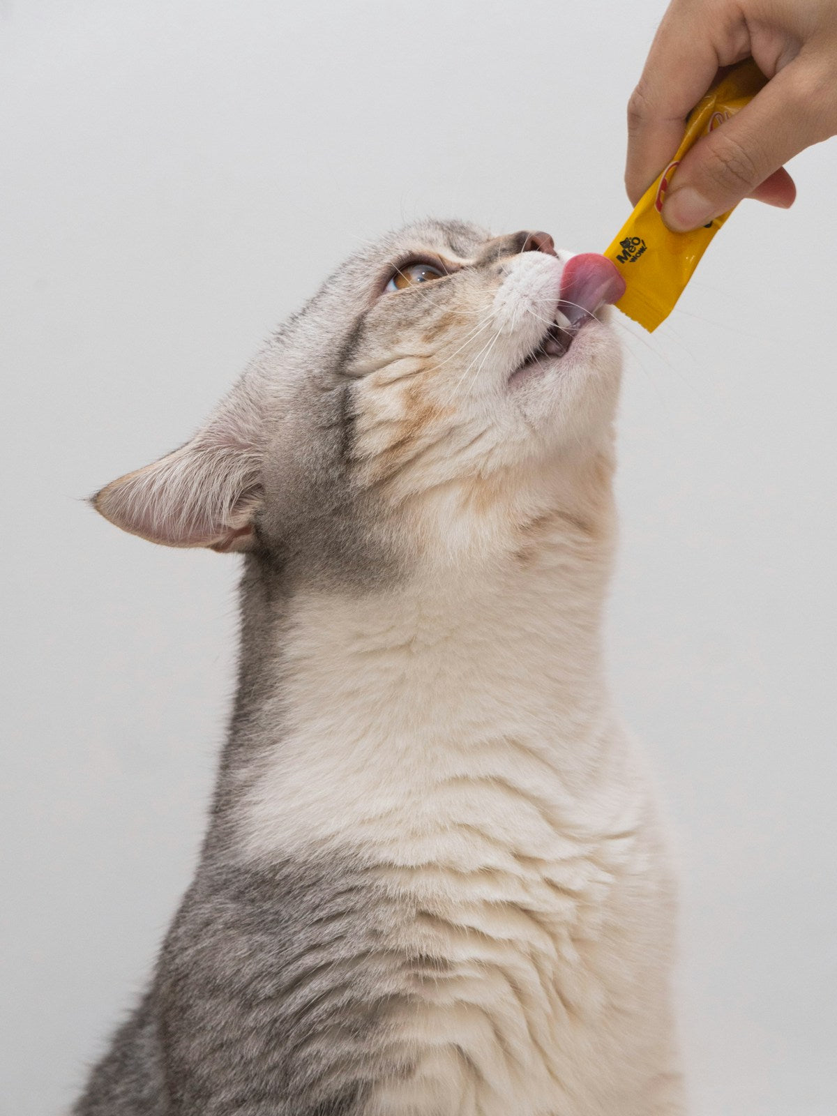 Do Cat Dental Treats Actually Work? Effectiveness & Best Options (2026)