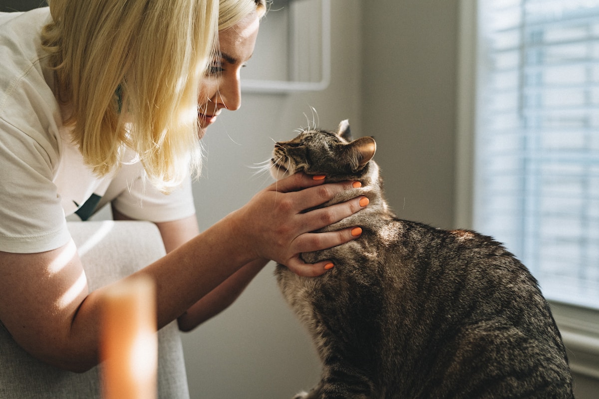Woman gently holding a brown tabby cat