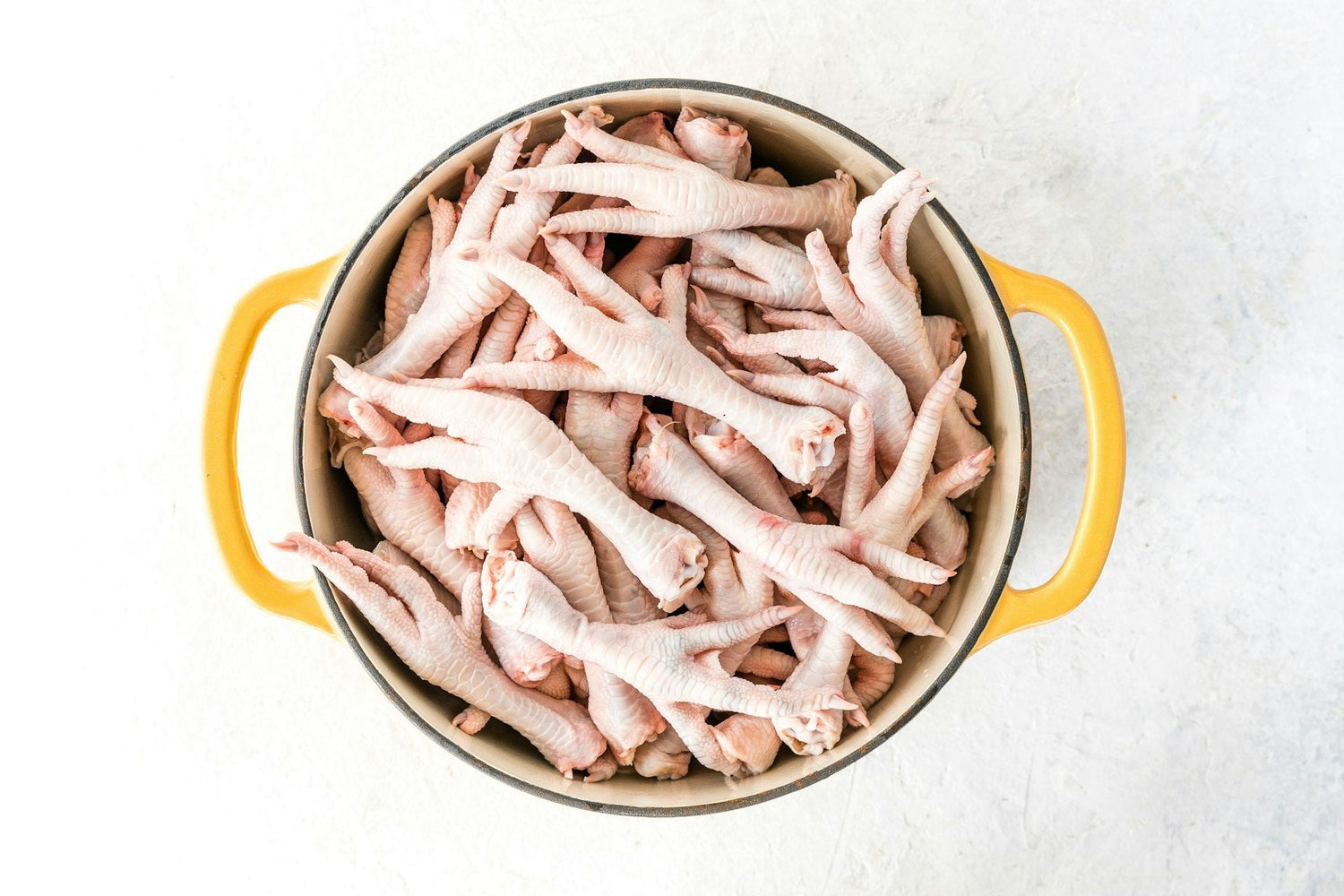 Can Dogs Eat Chicken Feet? Benefits, Risks and Safety Guide
