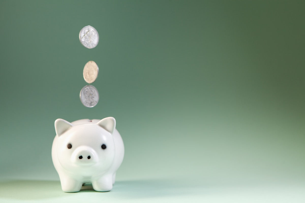 Coins falling into piggy bank representing budget pet care