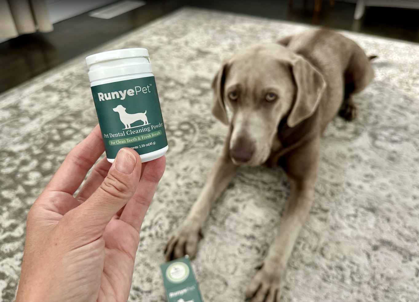 does dog dental powder really work