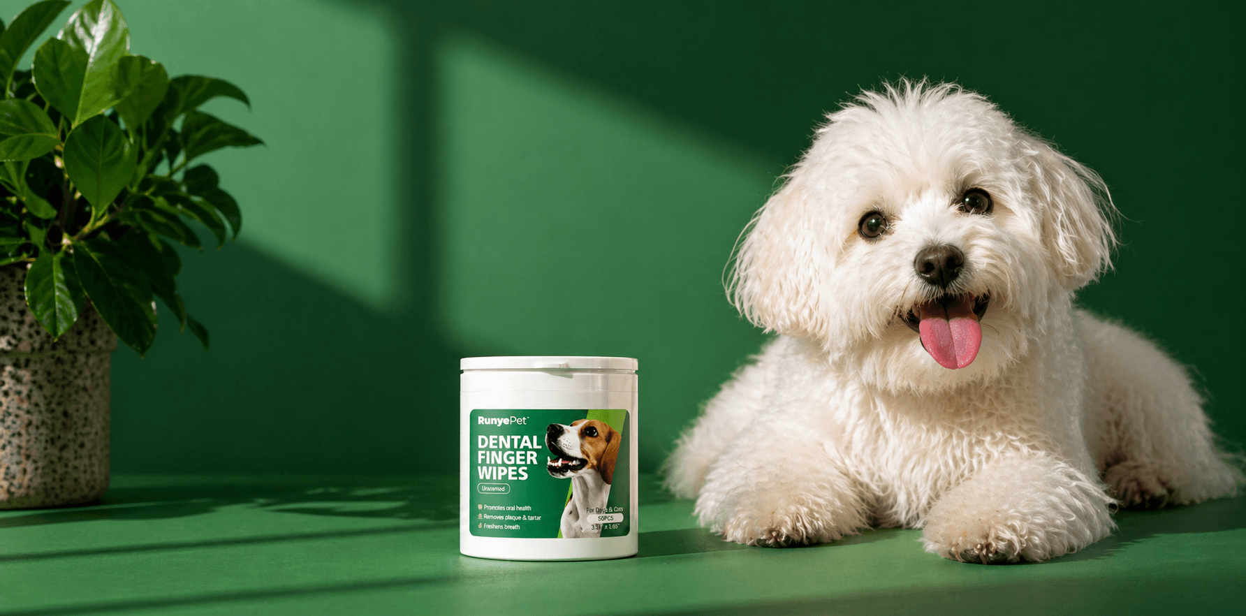 RunyePet Dental Finger Wipes for Dogs and Cats - No-Brush Teeth Cleaning Wipes Banner